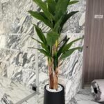 Artificial Premium Banana 180cm to 2m
