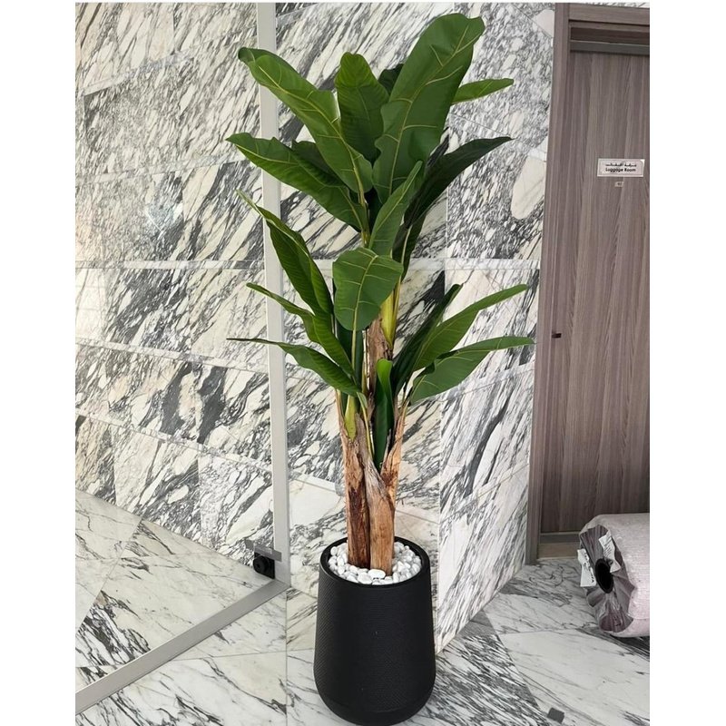 IMG-20240829-WA0059.jpg Artificial Premium Banana 180cm to 2m - Image 1