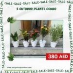 380DH Outdoor Combo in White Pots