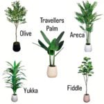 Artificial Plants Bundle of 5pcs