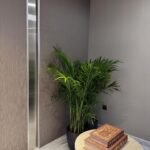 Kentia Palm Tree Plants UAE