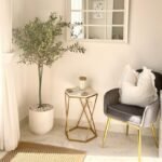 Olive Tree Medium Cheap Indoor Plants UAE