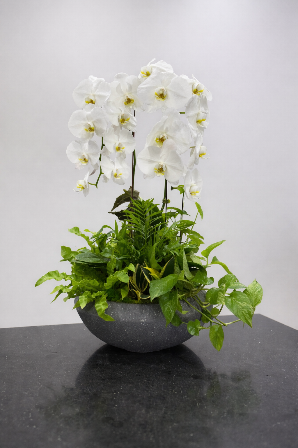 Orchid_Fresh_Flowers_Combo.png Orchid Fresh Flowers Combo indoor plants Dubai - Image 1
