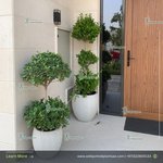 Outdoor Plant Bundle Premium in Fiber Pot Plants UAE