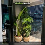 Outdoor Plants Bundle Premium in Beige Plants UAE