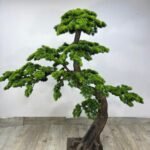 Artificial Bonsai chokan Plants Dubai