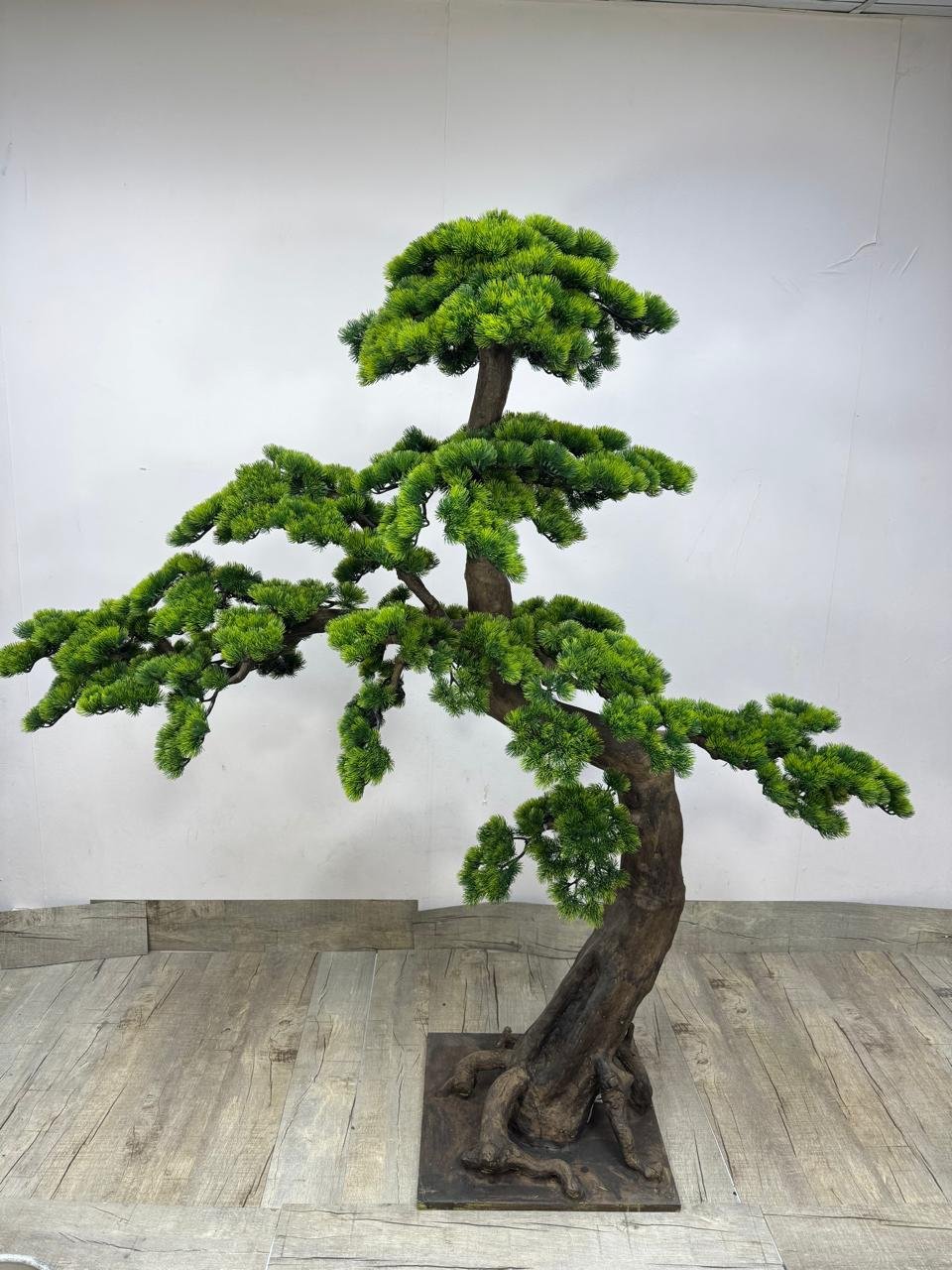 Premium_artificial_chokan_bonsai_plants_Dubai.jpg Artificial Bonsai chokan Plants Dubai - Image 1