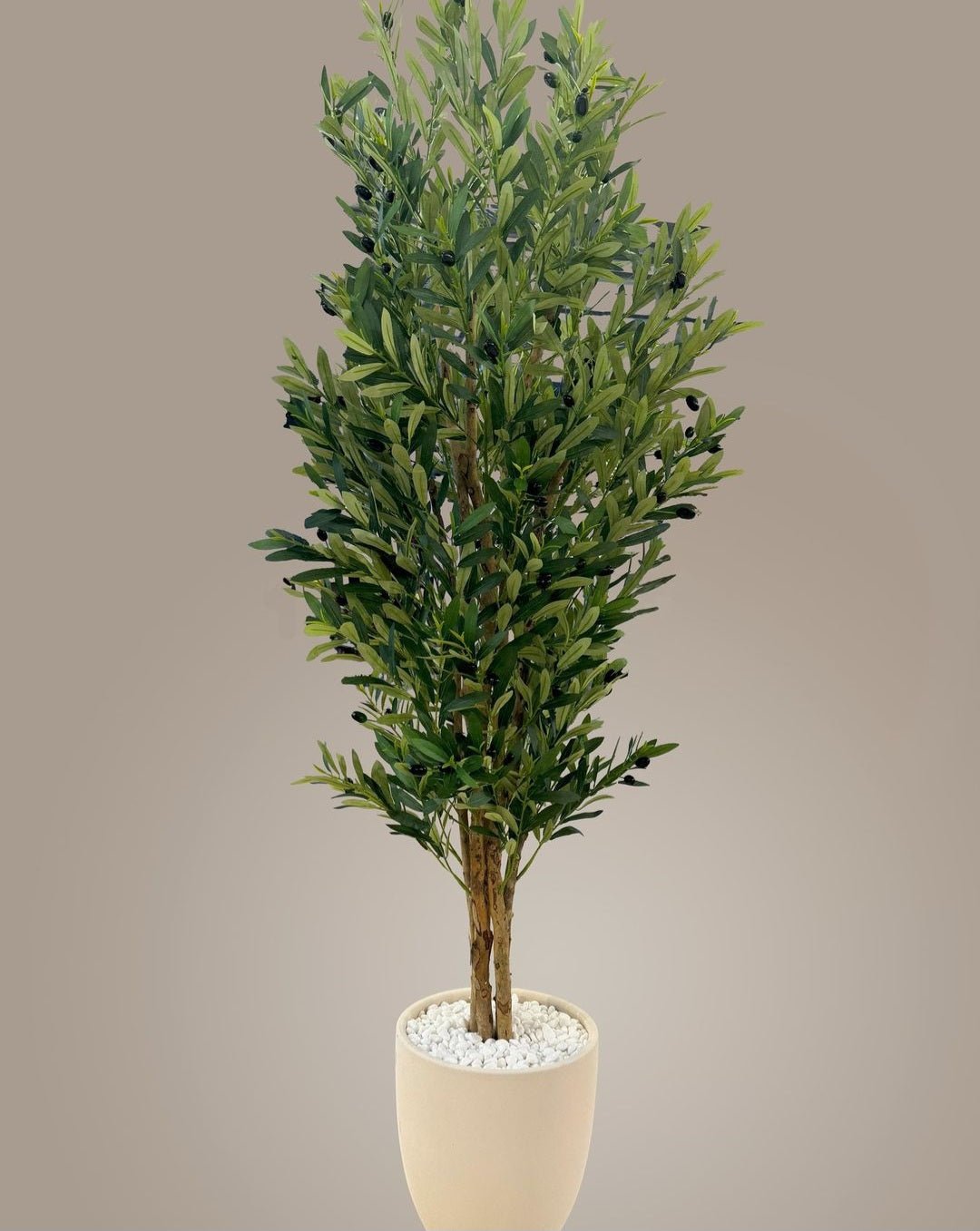 Screenshot-20240905_103446_Instagram.jpg Premium Artificial Olive Tree 150cm - Image 1