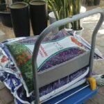 Soil Premium Quality PROMO Plants UAE - Image 2