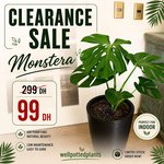 Special Clearance Sale for the Month of July (Plants in Nursery Pot)