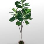 Artificial Fiddle in Fiber Pot|160-180cm
