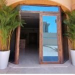 Big Areca ( 8-10 feet ) - Image 2