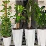 Bundle of 4