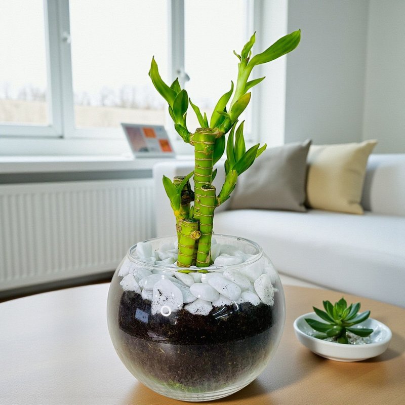 WhatsApp_Image_2025-11-13_at_3.14.56_PM.jpg 5 Lucky Strip Bamboo in glass Vase - Image 1