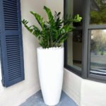 Zizi Premium Quality in Fiber Long Glossy Pot Plants UAE