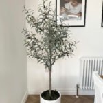 Artificial Olive Tree in White Pot