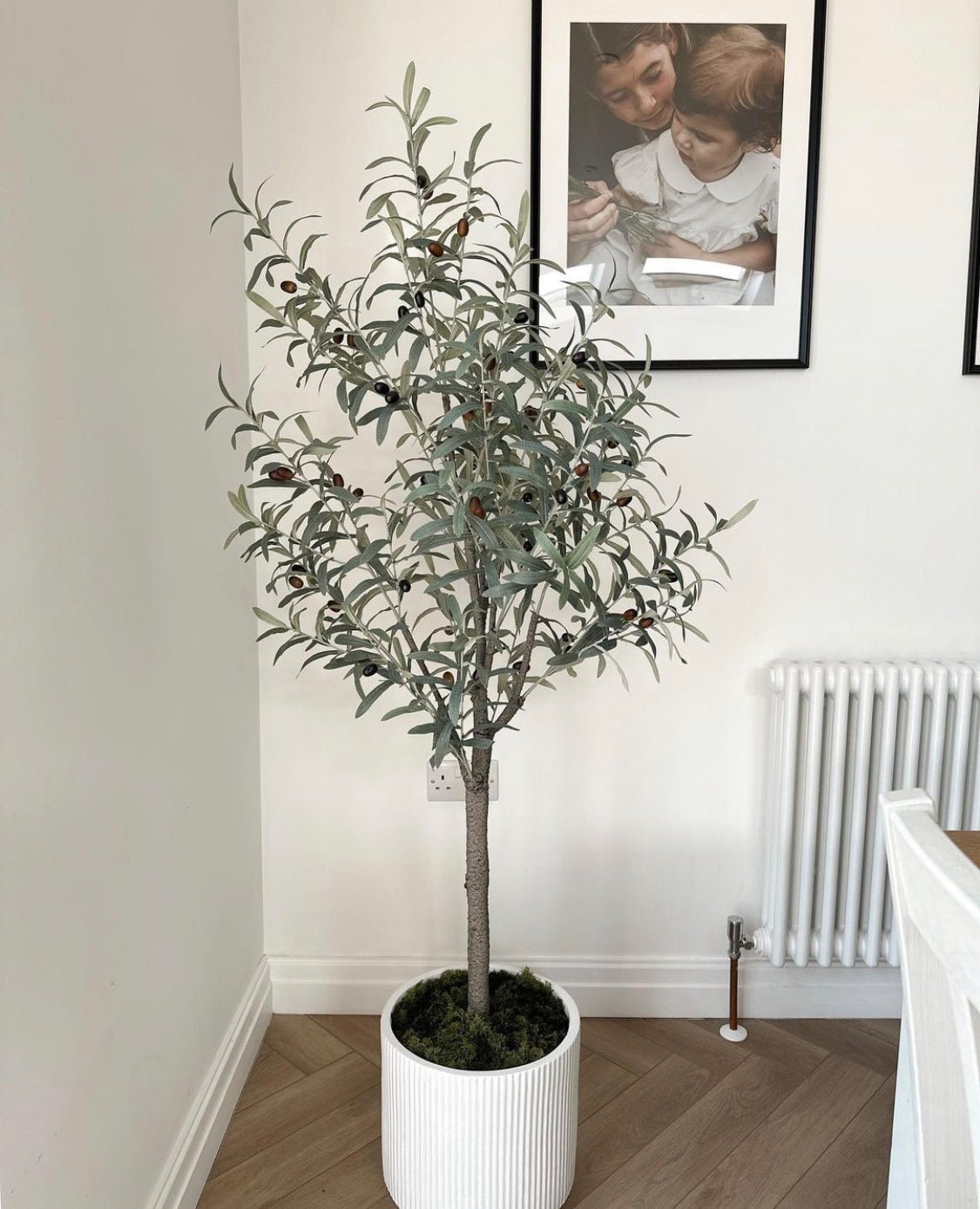 image_89bcd9ac-b074-49e1-a046-28f008f014df.jpg Artificial Olive Tree in White Pot - Image 1