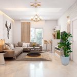 Monstera Deliciosa Plant (Swiss cheese plant) - Image 17