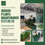 Plant Maintenance(1 month)