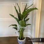 Chinese Classic Ceramic Pot Hand Made Plant Dubai - Image 3