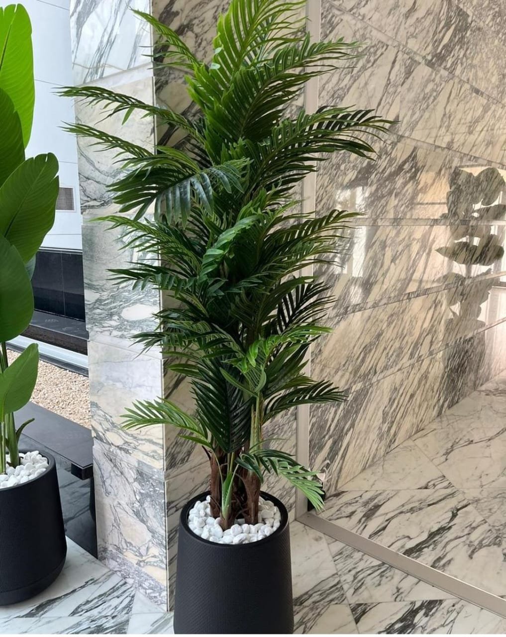 rn-image_picker_lib_temp_47e00935-1718-47da-a2ce-c5717f0af8c6.jpg Artificial Plants Areca 180cm Premium Quality UAE - Image 1