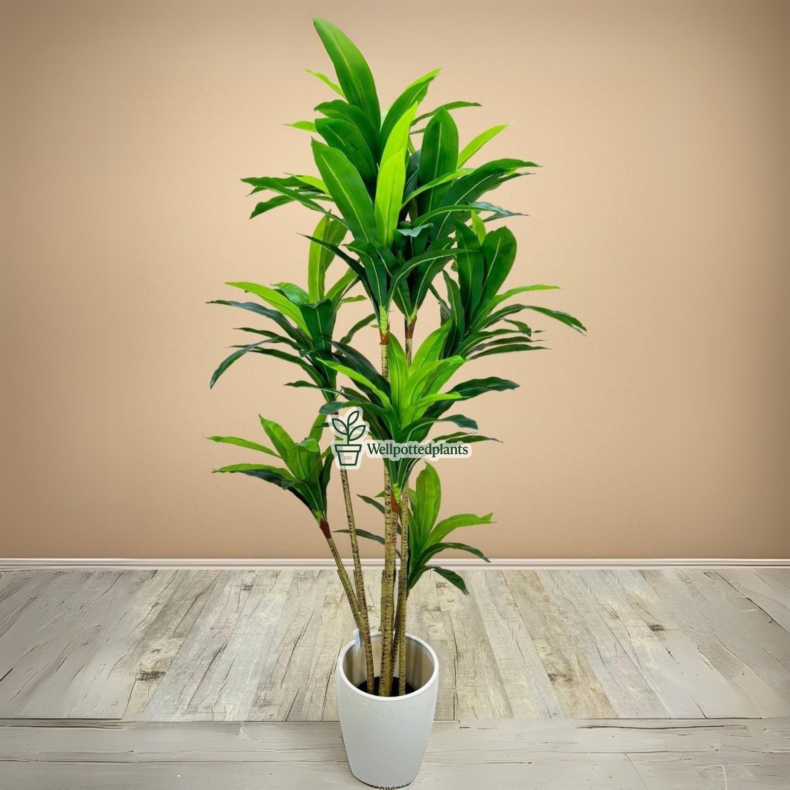 rn-image_picker_lib_temp_4978b63b-f2cf-4a36-b421-3a75a2745b92.jpg Artificial Dracaena - Image 1