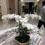 Artificial Orchid Premium