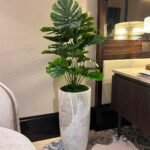 Artificial Monstera Promo
