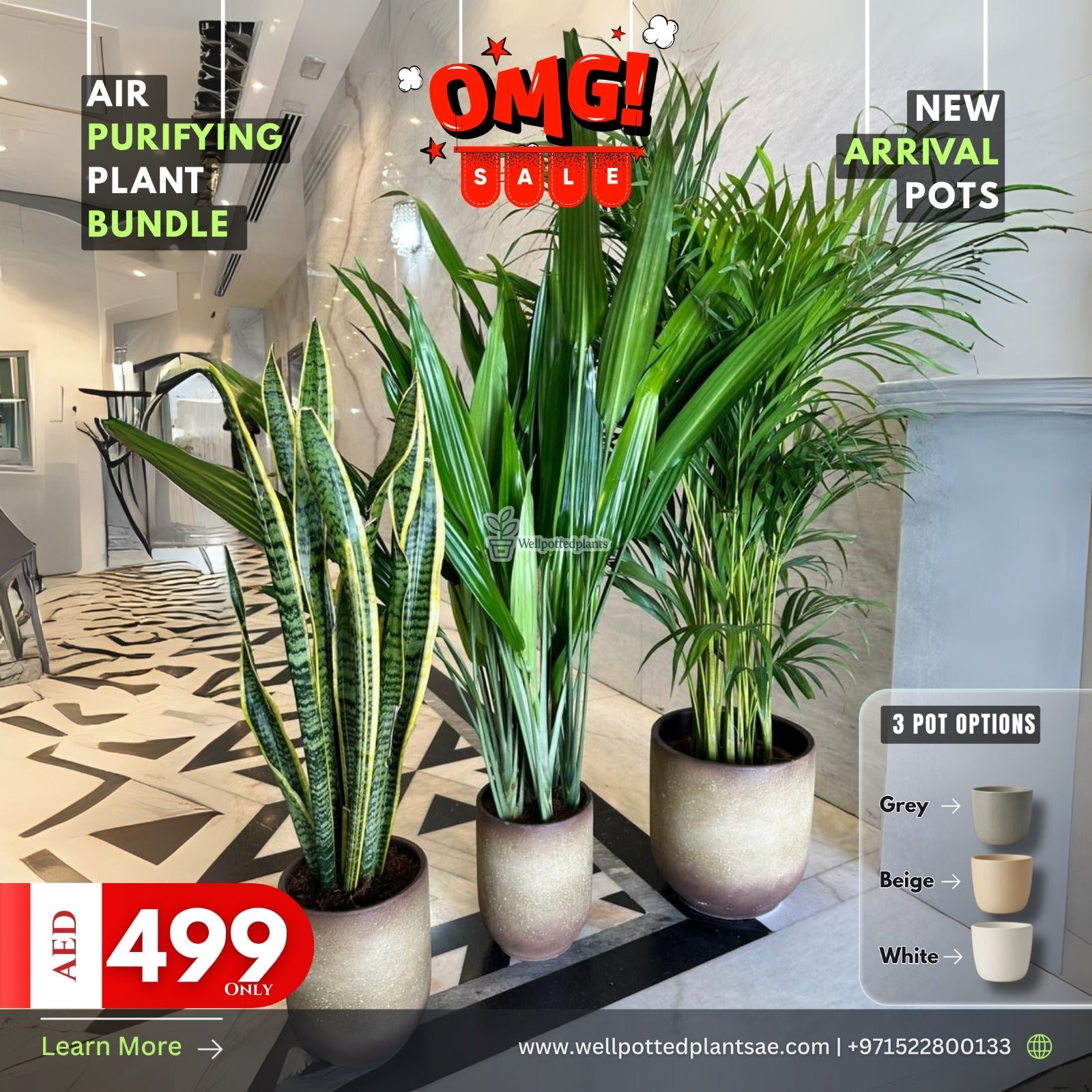rn-image_picker_lib_temp_63045ef3-684c-4a8b-918a-522c253e94ac.jpg Air Purifying Plants in Concrete Grey or Beige 2+1 NEW - Image 1