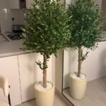 Artificial Olive 1.6m to 1.8m