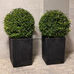 Ehretia Grass Ball Natural in UAE