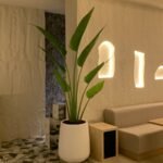 Office Plants Travellers Palm + Olive Bundle in 2.5m to 3m PROMO (SAVE 800DH) - Image 2
