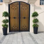 Outdoor Plants Bundle XL Trees in Black Pot New