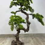 Artificial Bonsai Shigochi Plants UAE