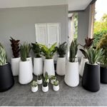 Office Plants Premium in Fiber 19pcs