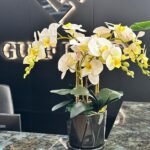 Office Plant Premium Orchid - Image 2