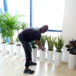 Office Plants Bundle 9pc Medium Sized Cheap Plants UAE - Image 3